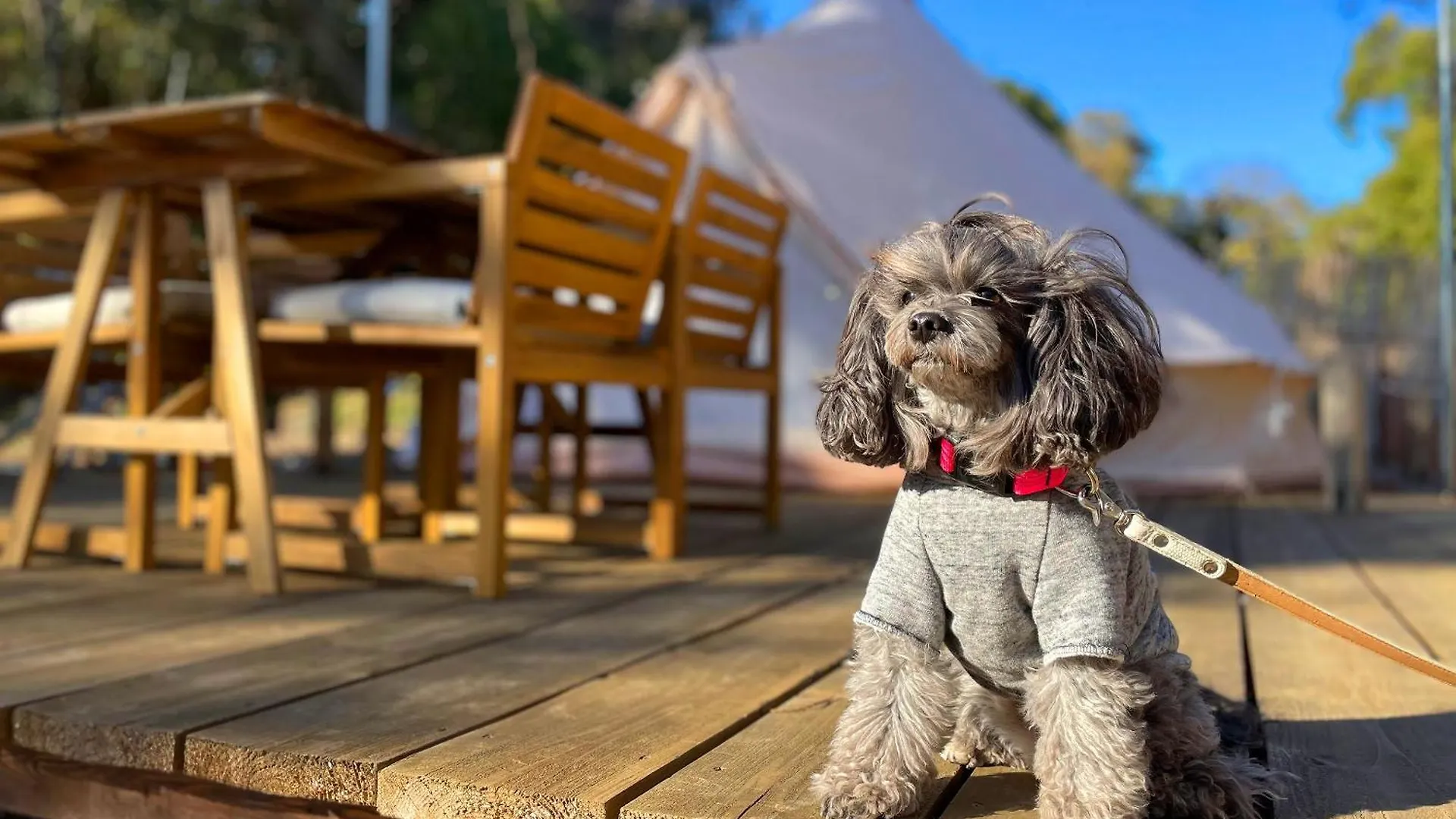 Couscous Glamping Manazuru Otel